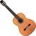 Guitare classique Cordoba C10 CD/IN LEFTY W/C Guitare classique