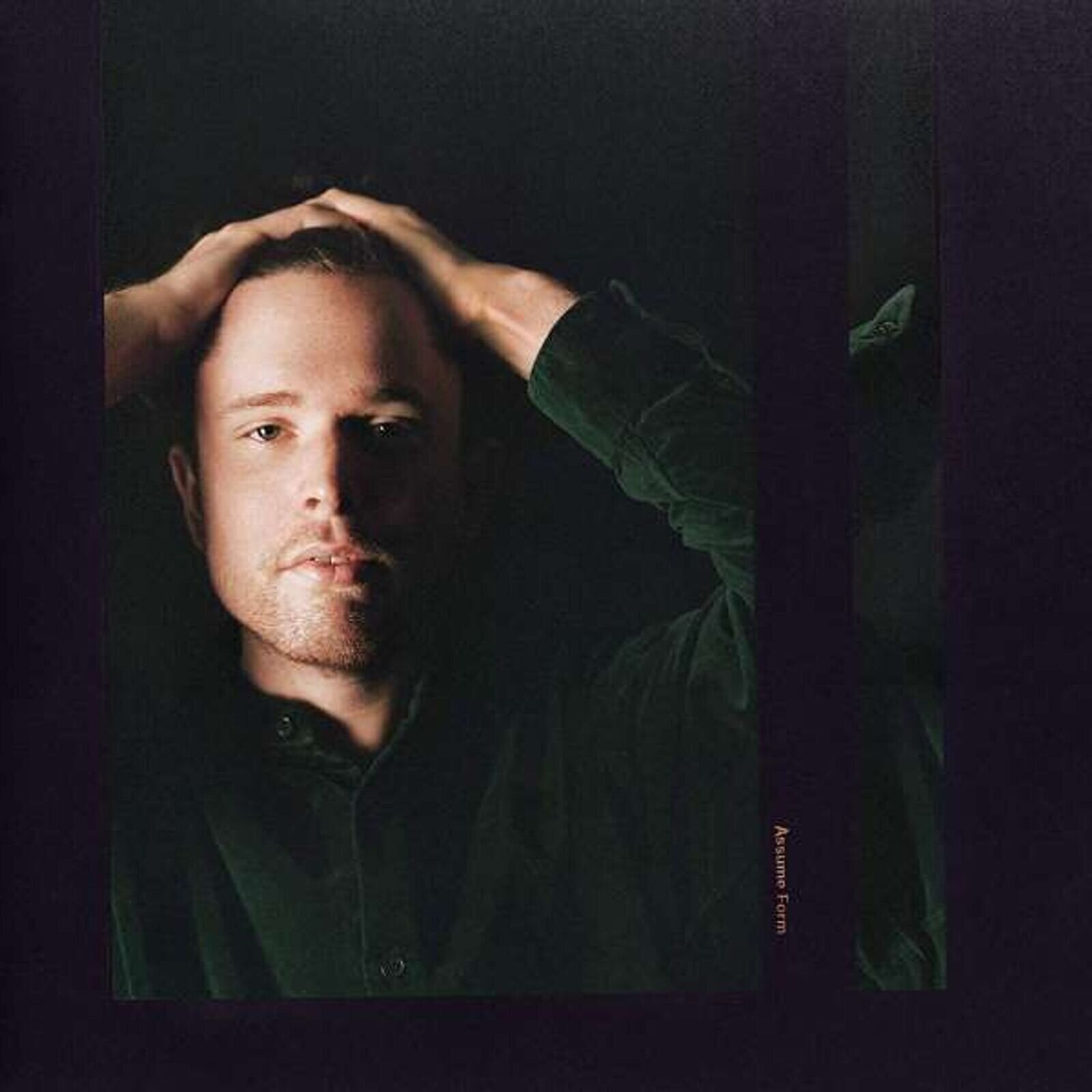 Vinyl Record James Blake - Assume Form (180 g) (2 LP)