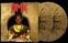 Vinüülplaat DMX - X Gon' Give It To Ya (Gold Black Splatter Coloured) (2 LP)