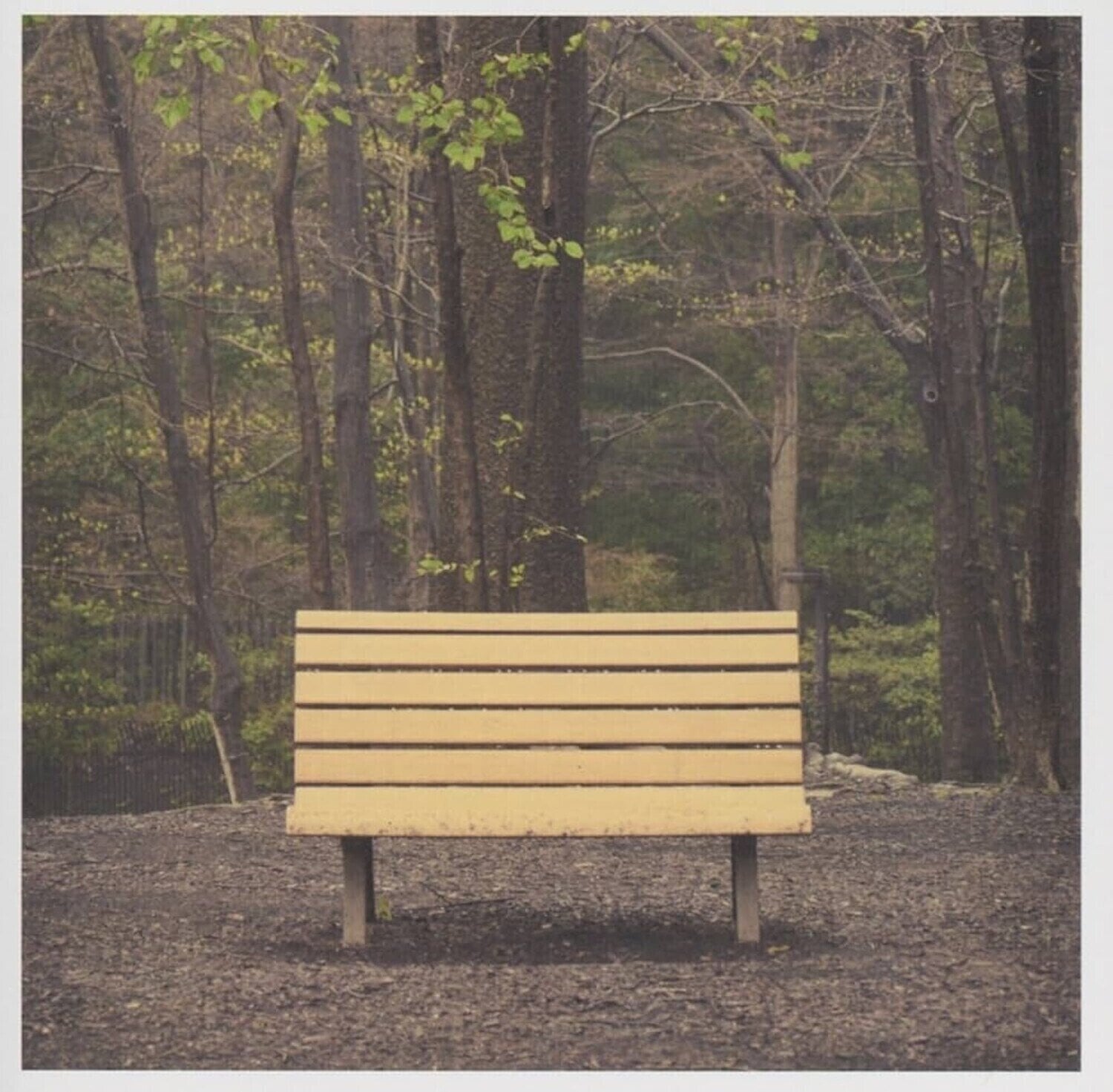 Vinüülplaat Streetlight Manifesto - Hands That Thieve (Indie Exclusive) (Reissue) (Red Smoke Coloured) (LP)
