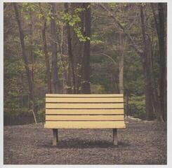 Vinüülplaat Streetlight Manifesto - Hands That Thieve (Indie Exclusive) (Reissue) (Red Smoke Coloured) (LP)