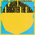 Vinylplate The Juan MacLean - The Brighter The Light (2 LP)