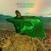 Schallplatte Allison Russell - In The Hour Of Chaos (Indie Exclusive) (Limited Edition) (Purple Coloured) (LP)
