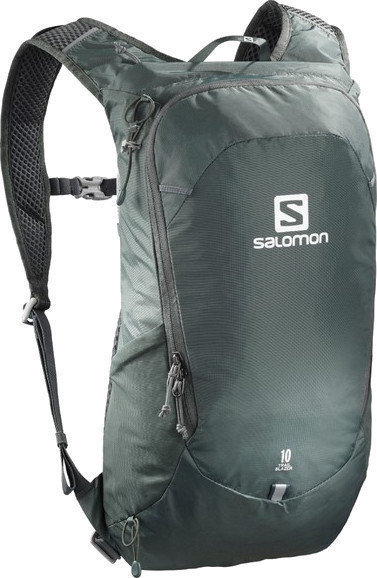 Outdoor Backpack Salomon Trailblazer 10 Urban Chic/Alloy Outdoor Backpack