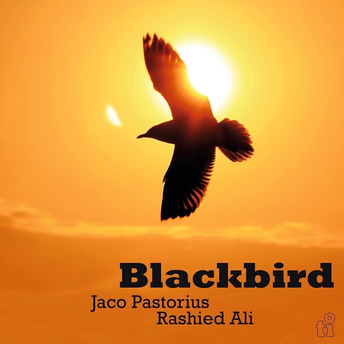 LP Jaco Pastorius & Rashied Ali - Blackbird (Limited Edition) (Green Coloured) (180 g) (LP)