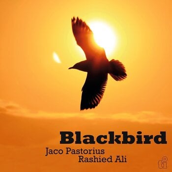 LP Jaco Pastorius & Rashied Ali - Blackbird (Limited Edition) (Green Coloured) (180 g) (LP) - 1