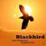 LP Jaco Pastorius & Rashied Ali - Blackbird (Limited Edition) (Green Coloured) (180 g) (LP)