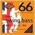 Bassguitar strings Rotosound RS66S