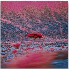 Disc de vinil O'Flynn - Kairos (2 LP)