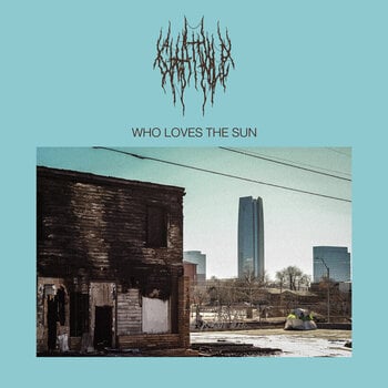 Vinüülplaat Chat Pile - Who Loves The Sun (Half Magenta and Lemon Yellow Coloured) (LP) - 1