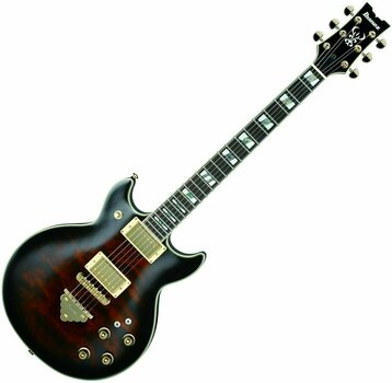 Elektrische gitaar Ibanez AR325 Dark Brown Sunburst - 1