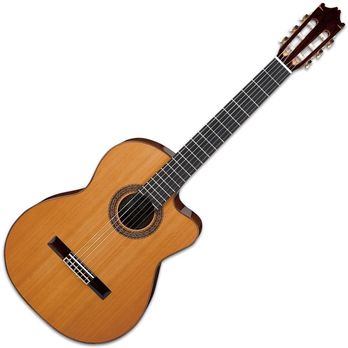 Класическа китара Ibanez G300CE NT
