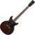 Elektrische gitaar Gibson Les Paul Special Tribute DC Worn Brown