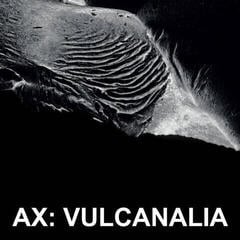 Δίσκος LP AX - Vulcanalia (Limited Edition) (LP)