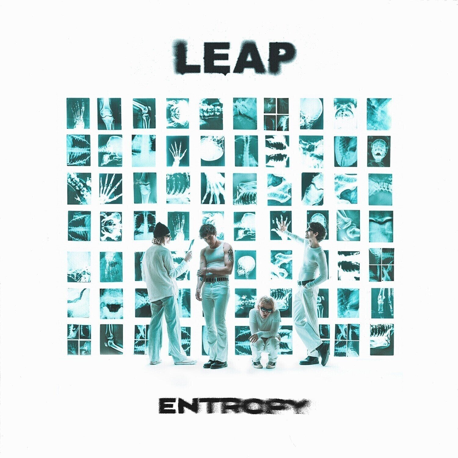 Disc de vinil Leap - Entropy (White Coloured) (LP)