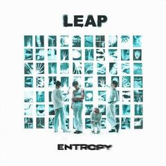 Disc de vinil Leap - Entropy (White Coloured) (LP)