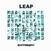Disc de vinil Leap - Entropy (White Coloured) (LP)