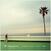 Hanglemez The Menzingers - Everything I Ever Saw (Indie Exclusive) (Green/Black Coloured) (LP)