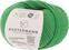 Knitting Yarn Austermann Merino 120 97613-173 Grass Knitting Yarn