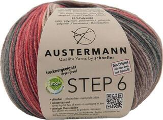 Pređa za pletenje Austermann Step 6 Color 97826-678 Kuchenknäuel Edinburgh Pređa za pletenje