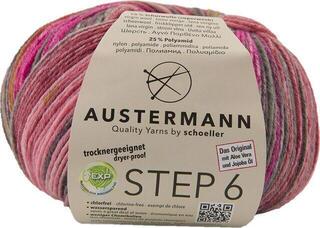 Fire de tricotat Austermann Step 6 Color 97826-679 Kuchenknäuel Inverness Fire de tricotat