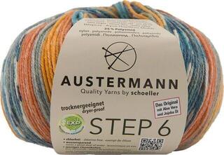 Strickgarn Austermann Step 6 Color 97826-713 Kuchenknäuel Golden Pheasant Strickgarn