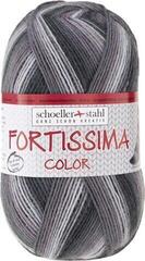 Fire de tricotat Schoeller + Stahl Fortissima Color 90028-2434 Sapporo Fire de tricotat