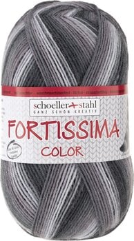 Fire de tricotat Schoeller + Stahl Fortissima Color 90028-2434 Sapporo Fire de tricotat - 1