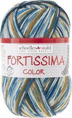 Knitting Yarn Schoeller + Stahl Fortissima Color 90028-2491 Country Knitting Yarn