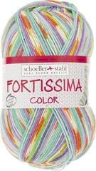 Pređa za pletenje Schoeller + Stahl Fortissima Color 90028-2493 Pastel Pređa za pletenje
