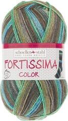 Fire de tricotat Schoeller + Stahl Fortissima Color 90028-2499 Plum Fire de tricotat