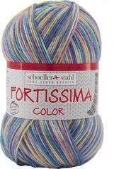 Fire de tricotat Schoeller + Stahl Fortissima Color 90028-2411 Natural Fire de tricotat