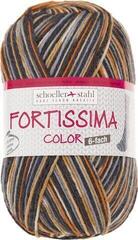 Pređa za pletenje Schoeller + Stahl Fortissima Color 6-fach 90008-162 Brown Multicolour Pređa za pletenje