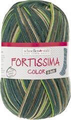 Knitting Yarn Schoeller + Stahl Fortissima Color 6-fach 90008-167 Jungle Knitting Yarn