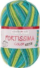 Pređa za pletenje Schoeller + Stahl Fortissima Color 6-fach 90008-200 Dragonfly Pređa za pletenje