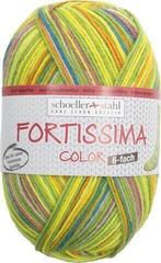 Pređa za pletenje Schoeller + Stahl Fortissima Color 6-fach 90008-232 Green Pređa za pletenje
