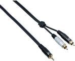 Bespeco EAYMSR300 3 m Audio Cable