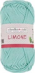 Pređa za pletenje Schoeller + Stahl Limone 90130-210 Aqua Green Pređa za pletenje