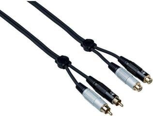 Audiokabel Bespeco EA2X300 3 m Audiokabel