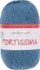 Fire de tricotat Schoeller + Stahl Fortissima 90038-2031 Polar Mouliné Fire de tricotat