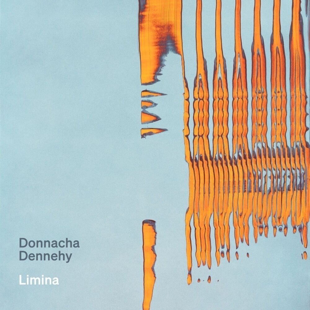 CD диск National Symphony Orchestra Ireland & Ryan McAdams - Donnacha Dennehy: Limina (CD)