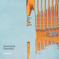 CD диск National Symphony Orchestra Ireland & Ryan McAdams - Donnacha Dennehy: Limina (CD)