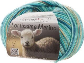 Knitting Yarn Schoeller + Stahl Fortissima Merino 93042-105 Lagoon Knitting Yarn