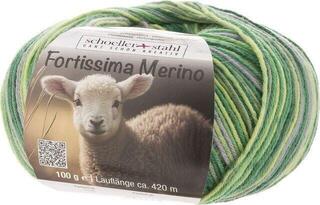Pređa za pletenje Schoeller + Stahl Fortissima Merino 93042-106 Foliage Pređa za pletenje