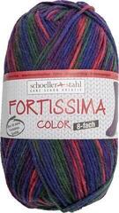 Knitting Yarn Schoeller + Stahl Fortissima Color 8-fach 90010-804 Autumn Knitting Yarn