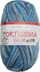 Fil à tricoter Schoeller + Stahl Fortissima Color 8-fach 90010-806 Brook Fil à tricoter