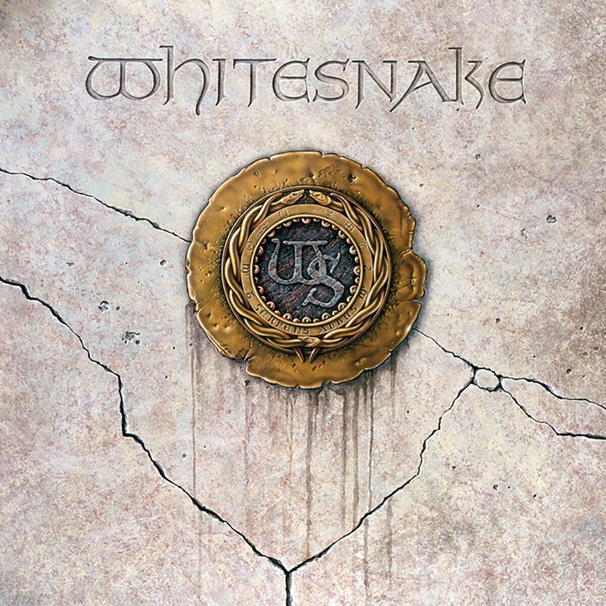 Vinyl Record Whitesnake - Whitesnake (LP)