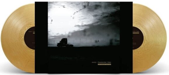 Disque vinyle EN:VY - Insomniac Doze (20th Anniversary/Limited Edition) (Metallic Gold Coloured) (2 LP) - 1