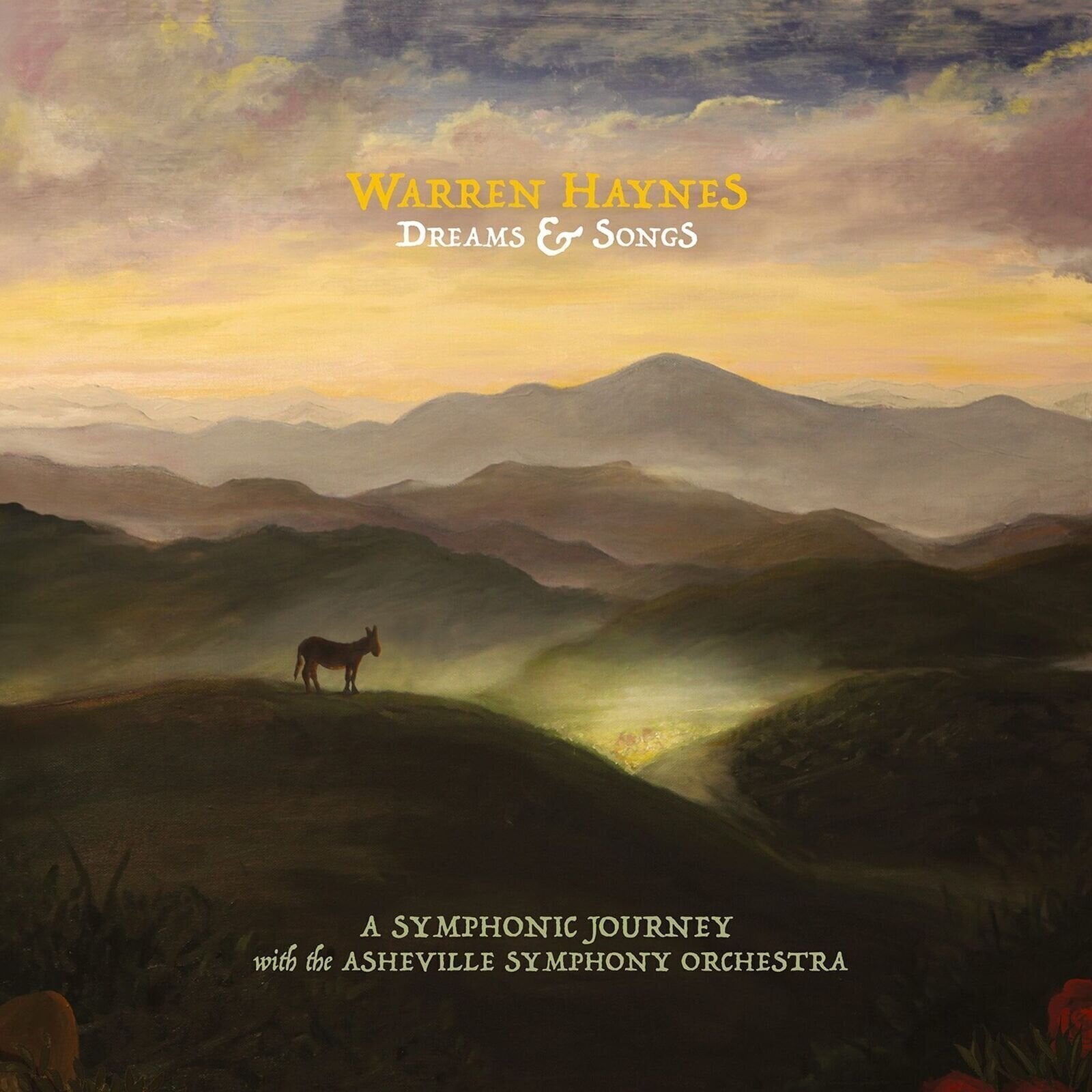 CD musique Warren Haynes - Dreams & Songs: A Symphonic Journey With The Asheville Symphony Orchestra (Digipak) (2 CD)
