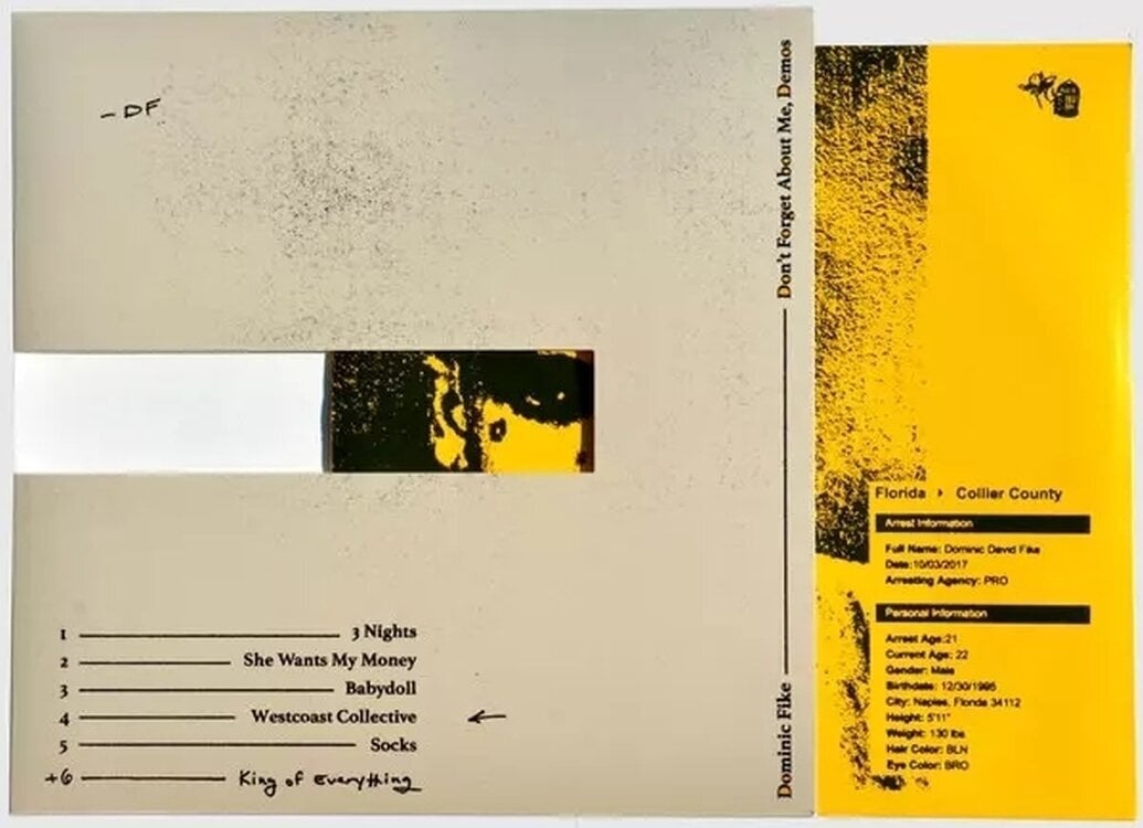Disco in vinile Dominic Fike - Don'T Forget About Me, Demons (LP)